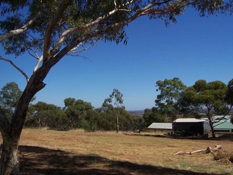 LOT D ALEXANDER AVENUE, Evanston Park SA 5116