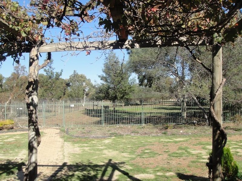 12 LIONEL ROAD, Lewiston SA 5501