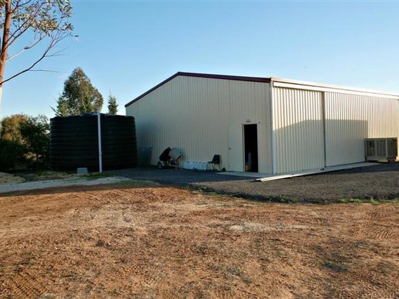 19 Barkley Drive, Gawler Belt SA 5118