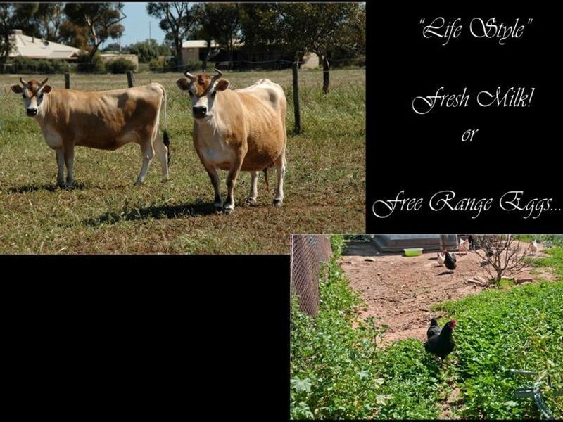 LOT 105 Hillier Road, Hillier SA 5116