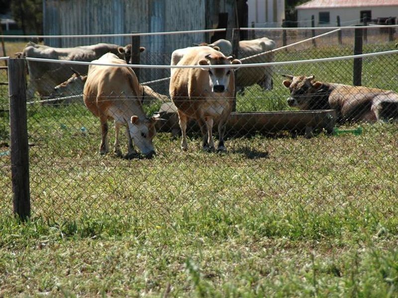 LOT 105 Hillier Road, Hillier SA 5116