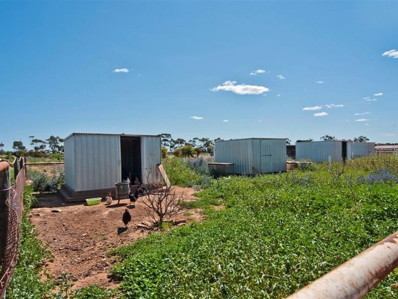 LOT 105 Hillier Road, Hillier SA 5116