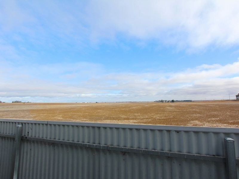 31 Derby Street, Freeling SA 5372