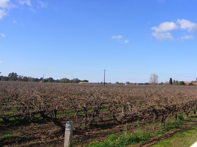 UNIT 4/19 SAUVIGNON STREET, Nuriootpa SA 5355