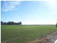 31 DERBY STREET, Freeling SA 5372