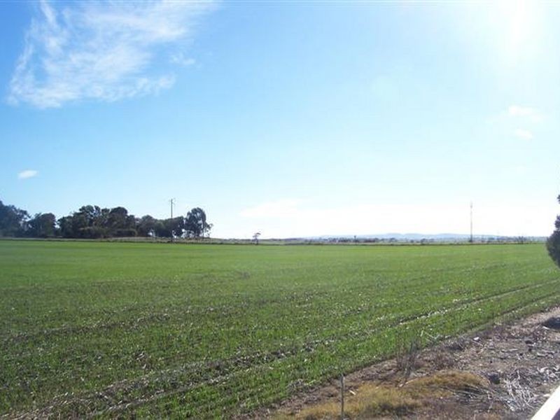 31 DERBY STREET, Freeling SA 5372