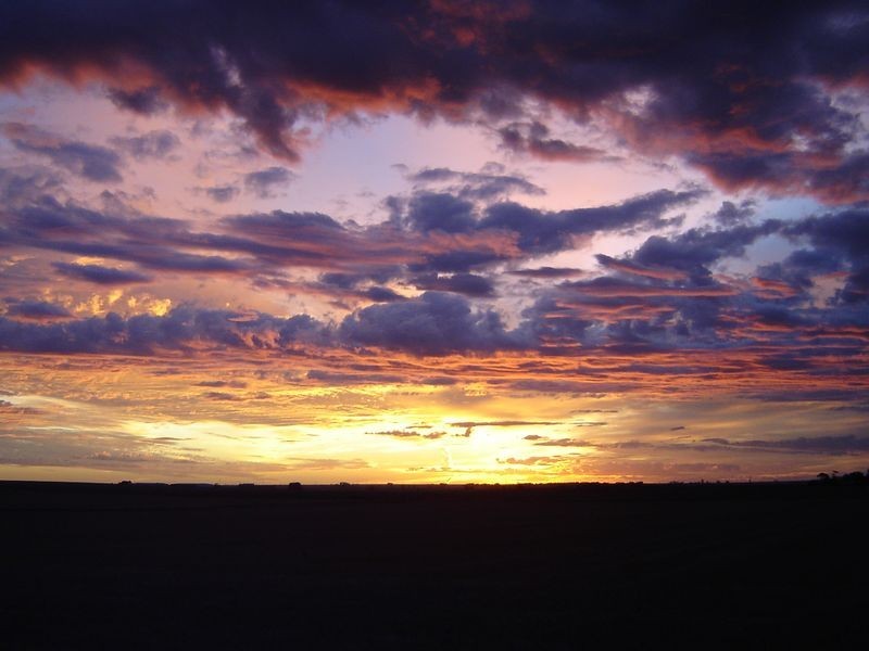 31 DERBY STREET, Freeling SA 5372