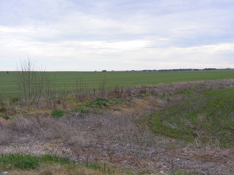 8 DERBY STREET, Freeling SA 5372