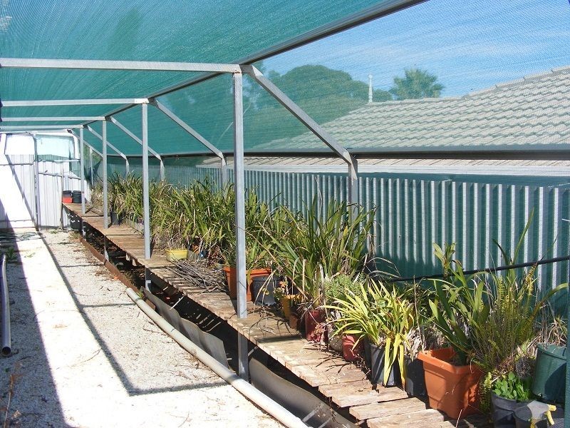 10 HARKNESS STREET, Willaston SA 5118