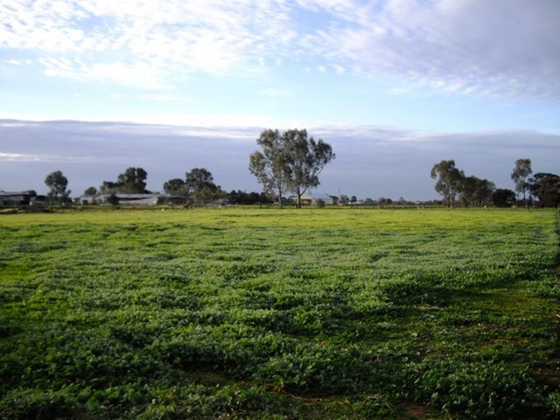 97 CLARENCE ROAD, Kudla SA 5115