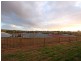 10 Teal Court, Hewett SA 5118