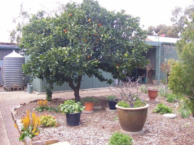 20 URLWIN AVENUE, Evanston Park SA 5116