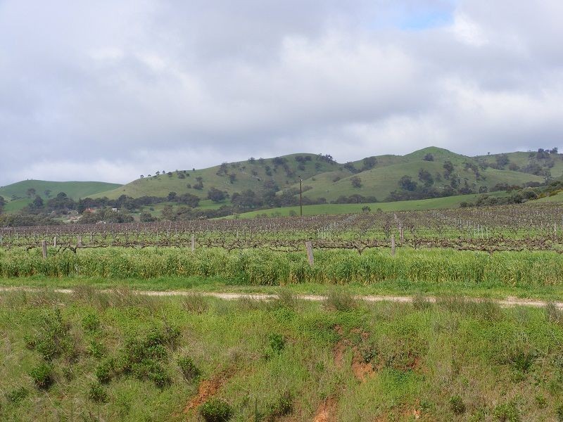 LOT 2 Barossa Valley Highway, Cockatoo Valley SA 5351