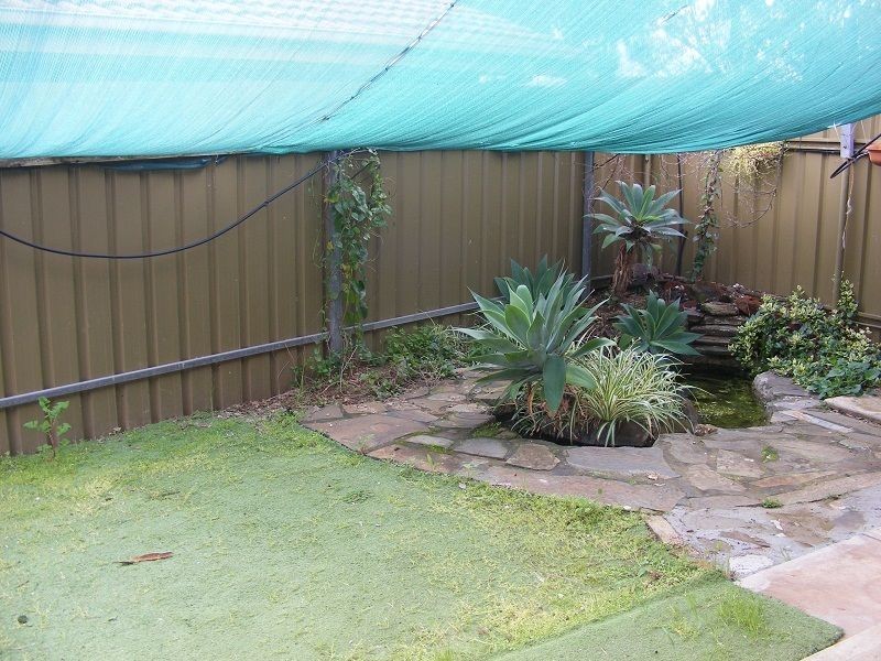 36 Causby Crescent, Willaston SA 5118