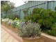 2 Riverview Parade, Blakeview SA 5114