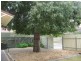16 Cameron Street, Gawler SA 5118