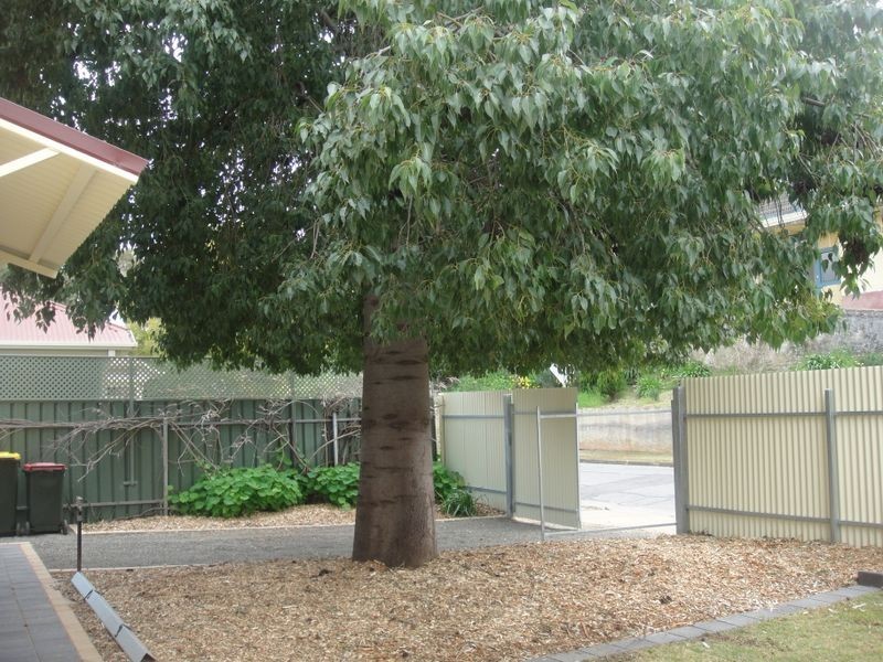 16 Cameron Street, Gawler SA 5118
