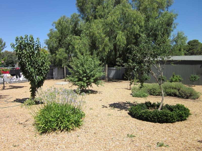 22 Peake Street, Freeling SA 5372