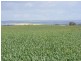 SECTION 87 Parkers Road, Ward Belt SA 5118