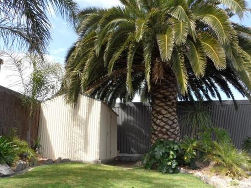 33 Edward Street, Willaston SA 5118
