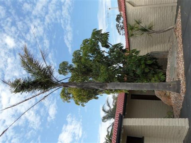 33 Edward Street, Willaston SA 5118