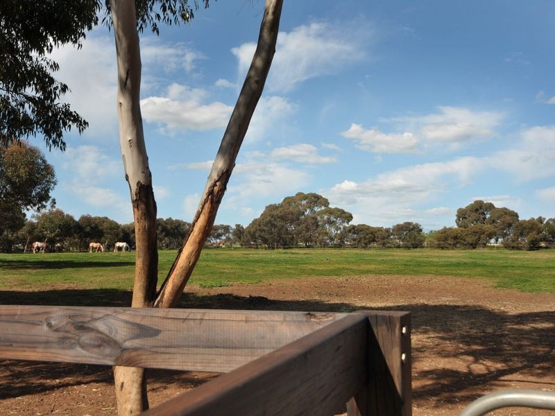 14 Rose Drive, Roseworthy SA 5371