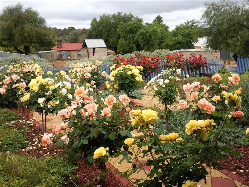 17 Frederick Street, Greenock SA 5360