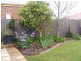 12 Knight Street, Willaston SA 5118