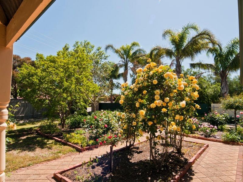 2 Holmes Street, Willaston SA 5118