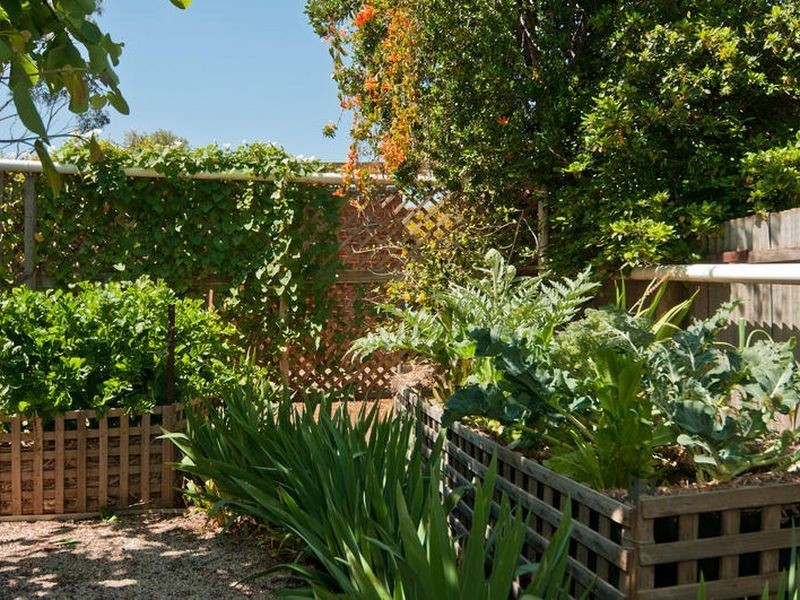 2 Holmes Street, Willaston SA 5118