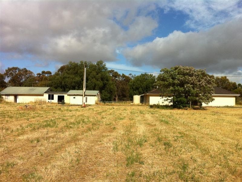 96 Gawler Road, Lewiston SA 5501