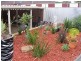 51 Dawkins Avenue, Willaston SA 5118