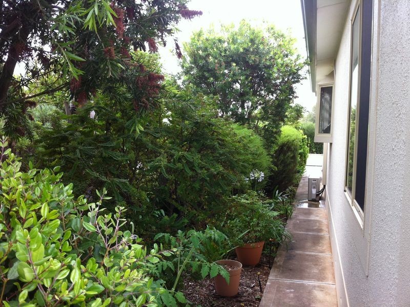 285 Protea Street, Hillier SA 5116