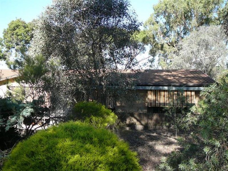 3 Fergusson Court, Lyndoch SA 5351