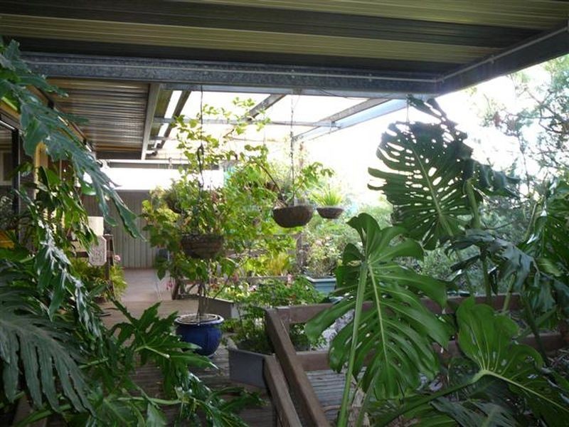 3 Fergusson Court, Lyndoch SA 5351