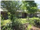 20 Rogers Street, Freeling SA 5372