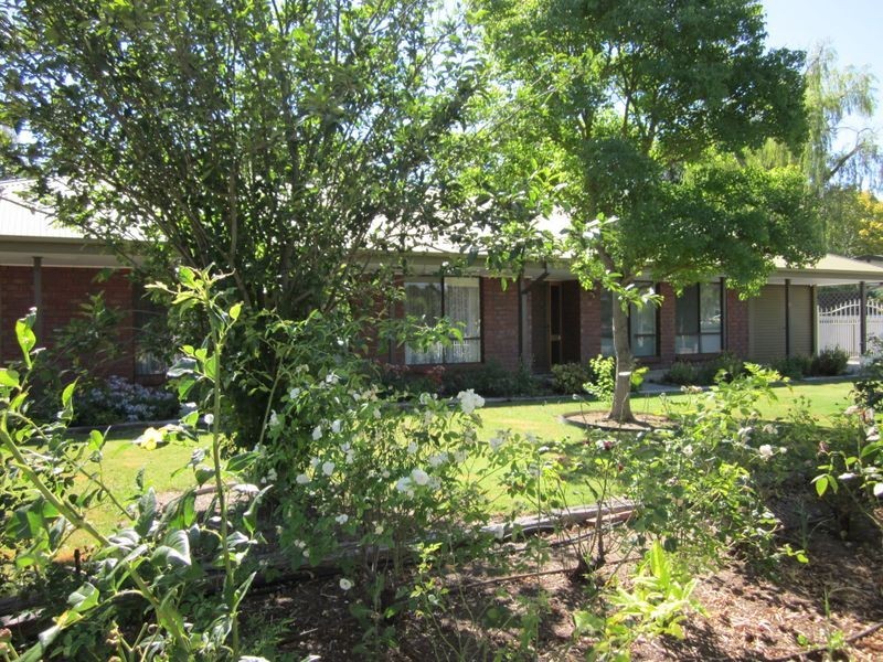 20 Rogers Street, Freeling SA 5372