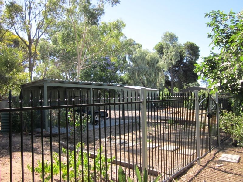 20 Rogers Street, Freeling SA 5372
