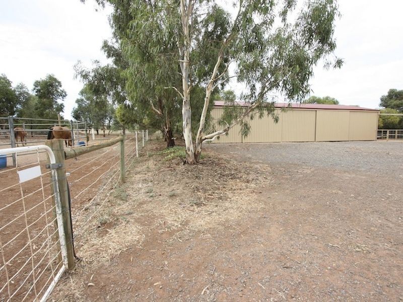 LOT 55 Twartz Road, Roseworthy SA 5371