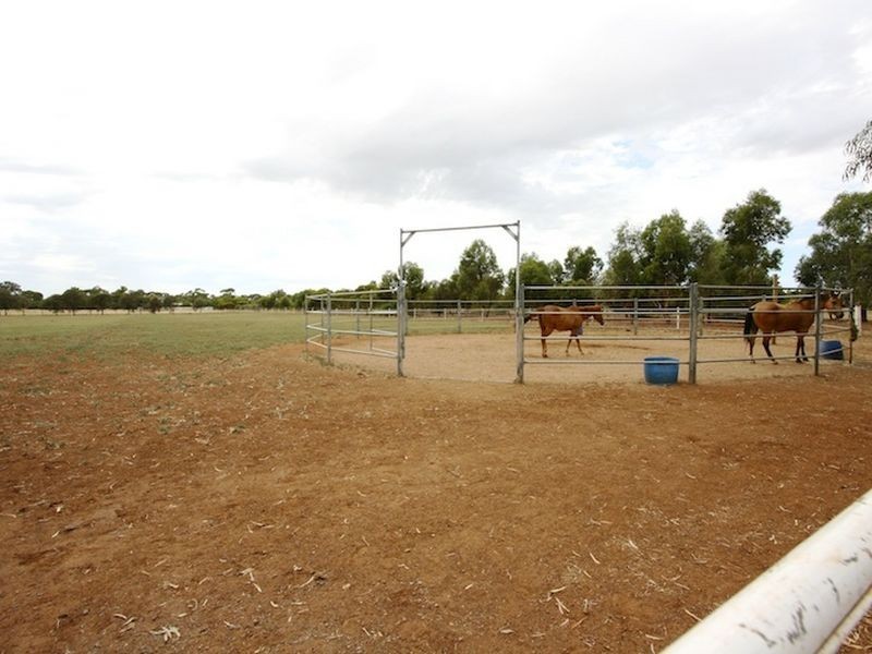 LOT 55 Twartz Road, Roseworthy SA 5371