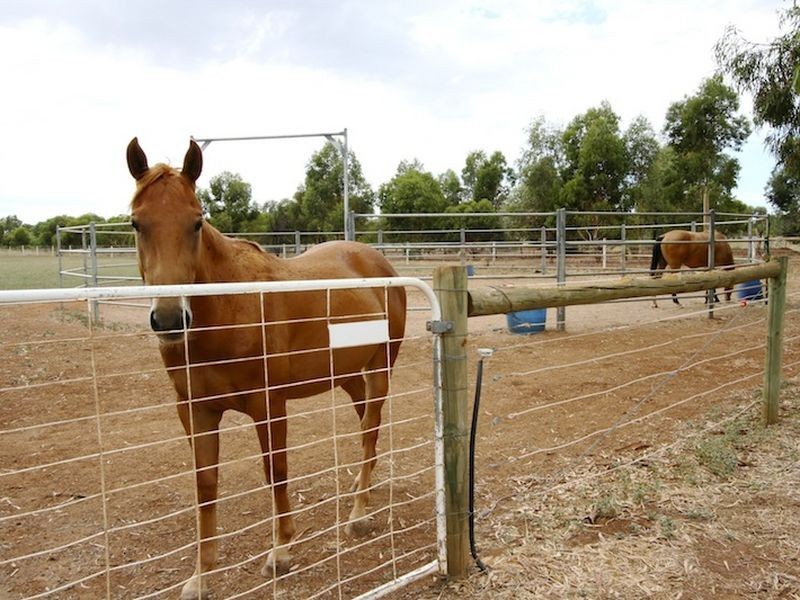 LOT 55 Twartz Road, Roseworthy SA 5371