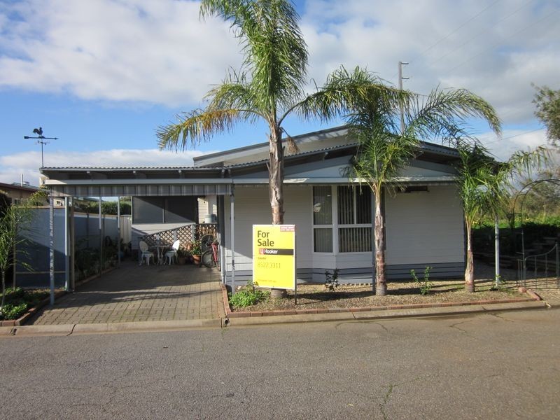 247 Hibiscus Avenue, Hillier SA 5116