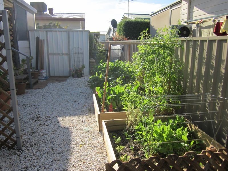 247 Hibiscus Avenue, Hillier SA 5116