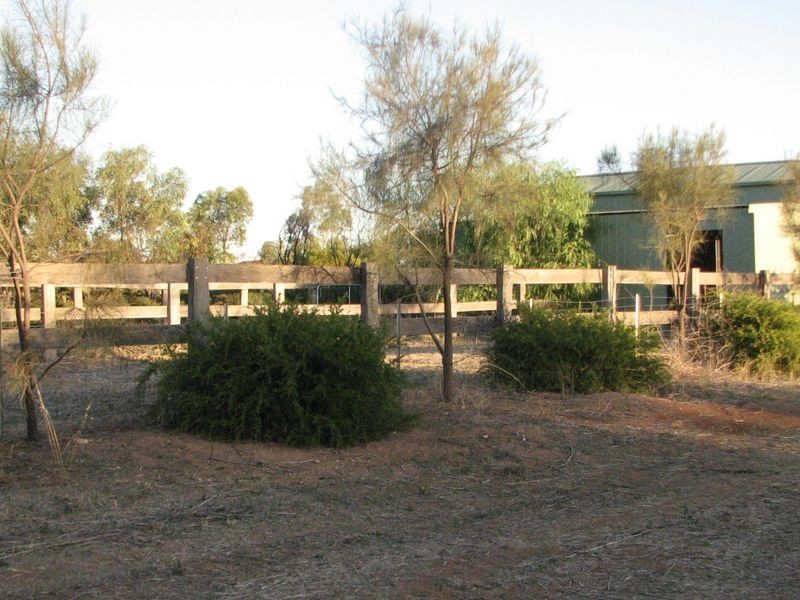 6 Rose Drive, Roseworthy SA 5371