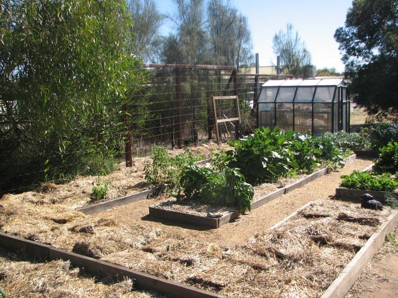 6 Rose Drive, Roseworthy SA 5371