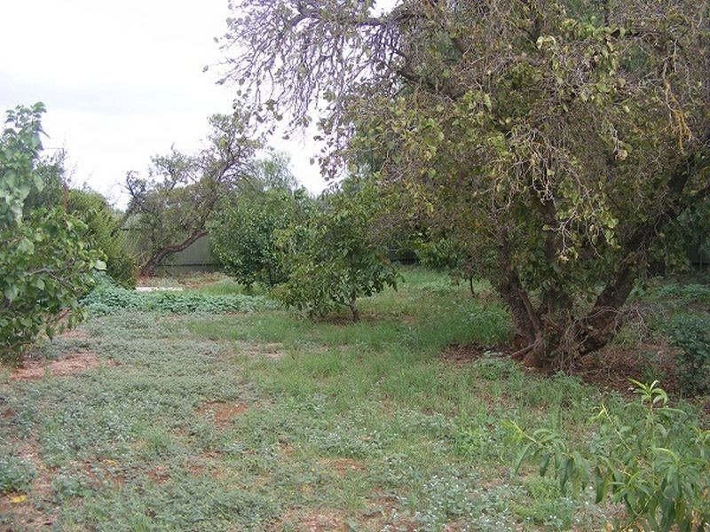 55 Para Road, Evanston SA 5116