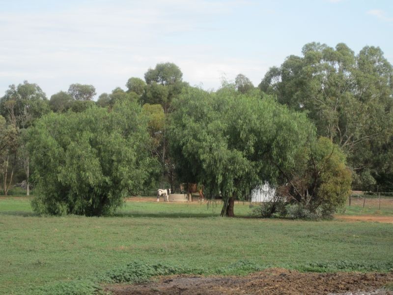 266 Hayman Road, Lewiston SA 5501