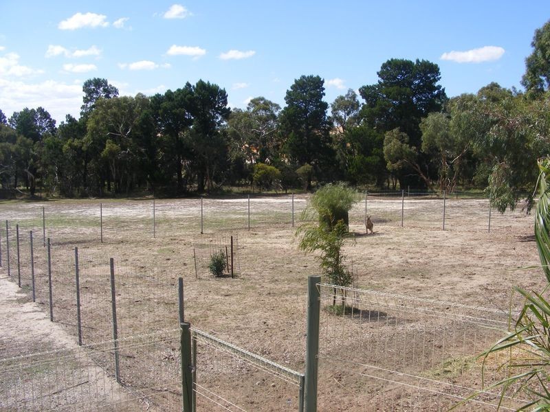 Lot 401 Pimpala Road, Cockatoo Valley SA 5351