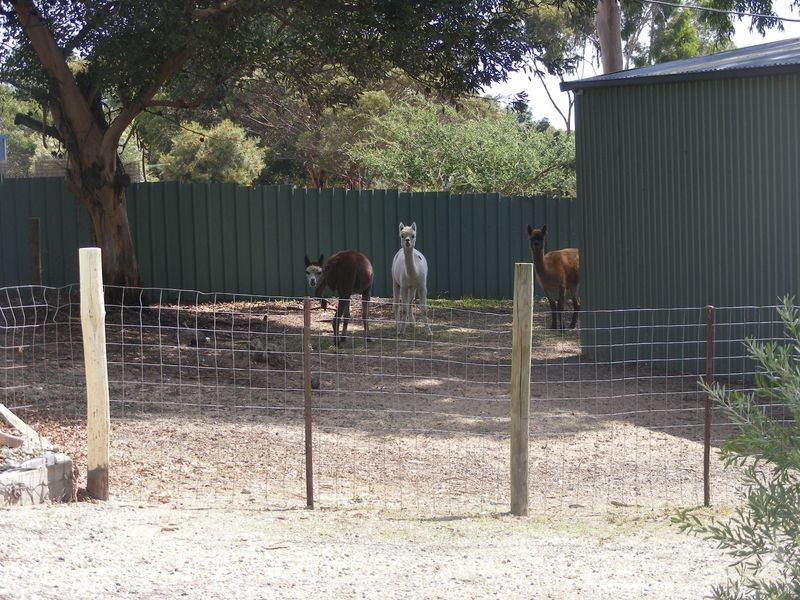 Lot 401 Pimpala Road, Cockatoo Valley SA 5351