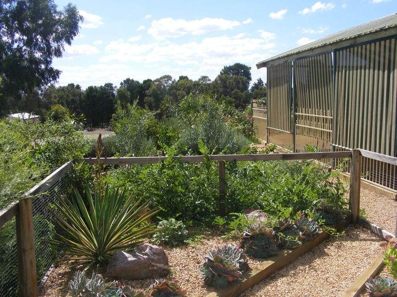 Lot 401 Pimpala Road, Cockatoo Valley SA 5351